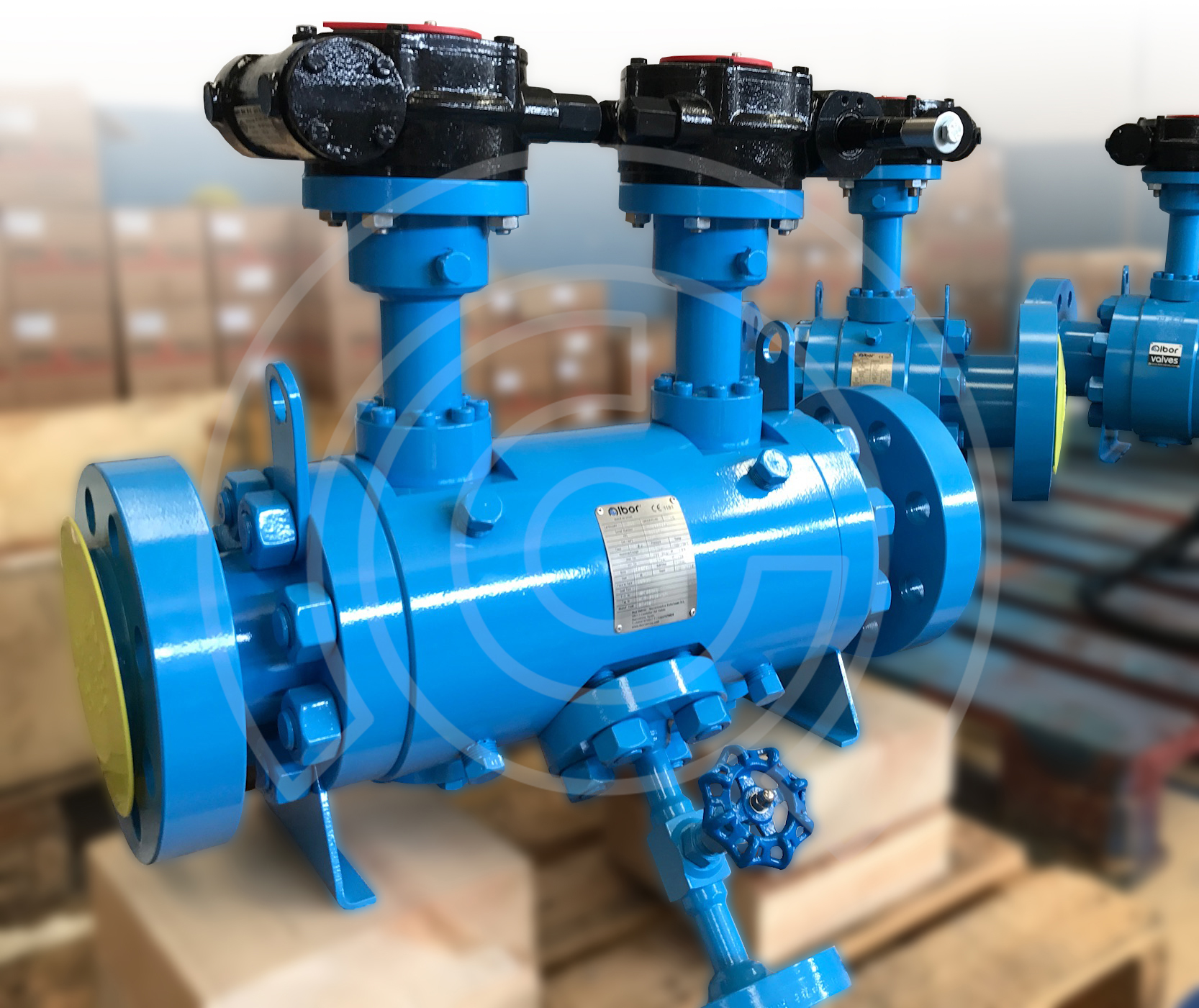 TWIN BALL VALVES 1500LB FOR SERVICE CRYOGENIC Ibor valves